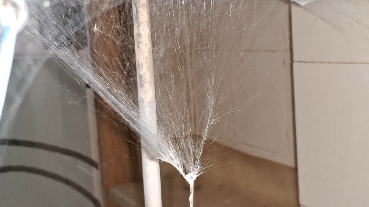 Electrospinning: Solution of Polystyrene in Methylene Chloride